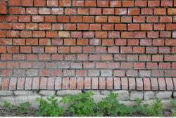 Photo Textures of Wall Bricks